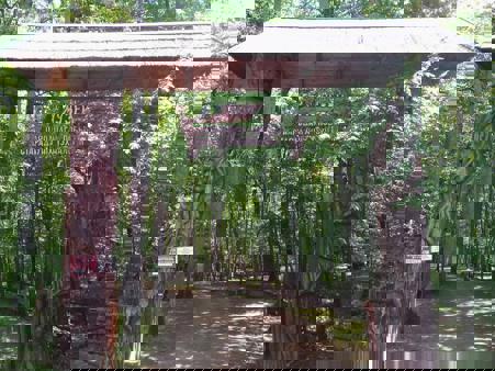 Тур Минск - Бобруйск - Жиличи - Хатынь - Брест - Каменец - Беловежская пуща - Фото 17