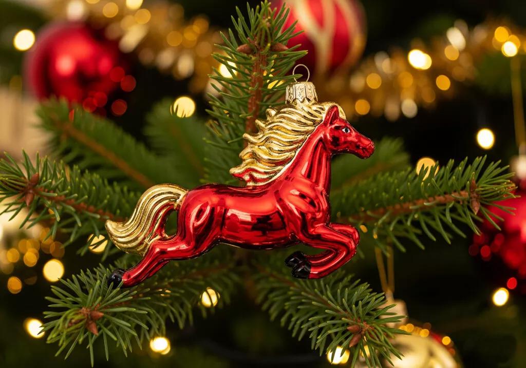 Автобусный тур Наносы, выезд из Минскa