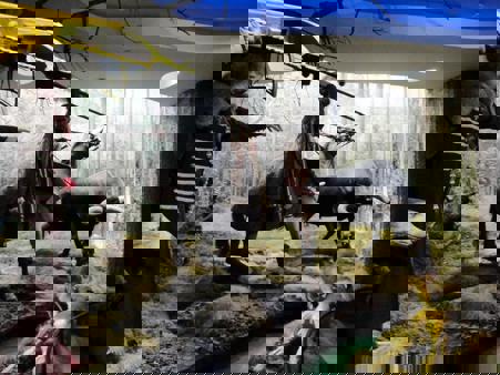 Тур Минск - Бобруйск - Жиличи - Хатынь - Брест - Каменец - Беловежская пуща - Фото 16