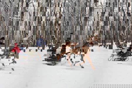 Тур Сула - Фото 4