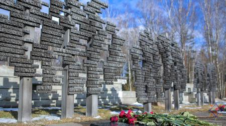 Тур Минск - Бобруйск - Жиличи - Хатынь - Курган Славы - Брест - Каменец - Беловежская пуща - Фото 8