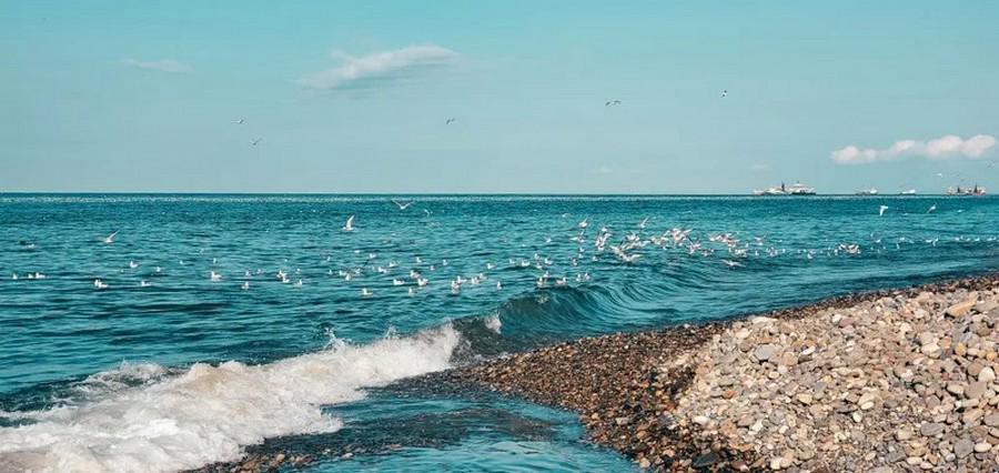 Тур Батуми - Кобулети, выезд из Минскa