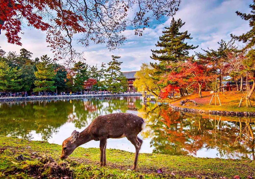 Тур Пекин - Токио - Осака - Пекин, выезд из Минскa