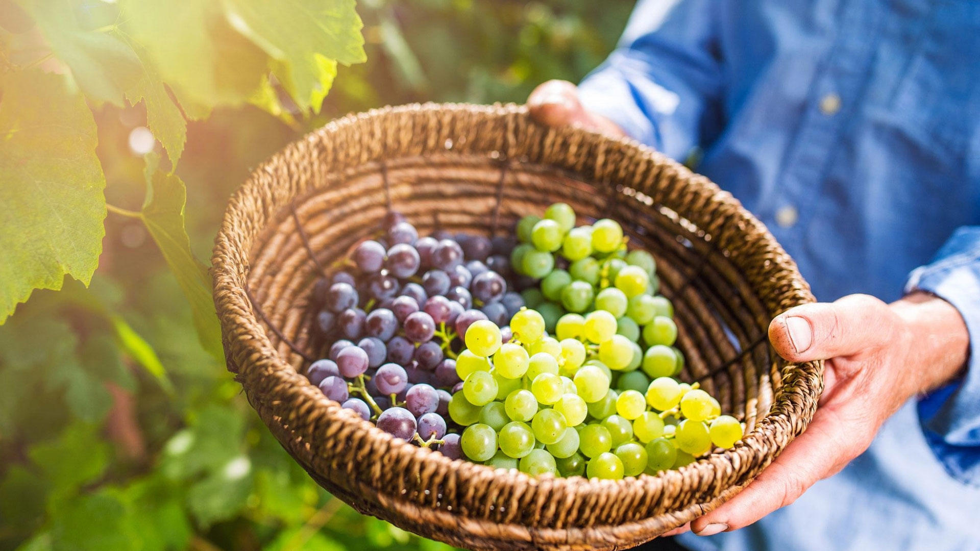 Тур Тбилиси, выезд из Минскa