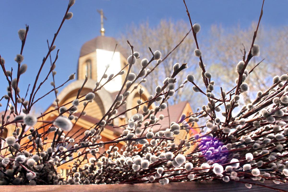 Автобусный тур Слоним - Жировичи - Сынковичи, выезд из Минскa