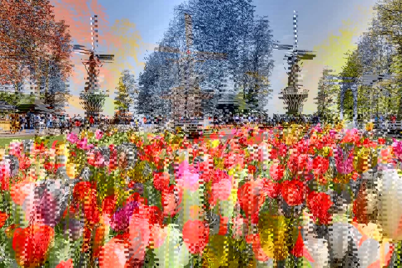 Автобусный тур Ганновер - Амстердам - Кёкенхоф* - Париж - Этрета* - Страсбург - Прага*, выезд из Минскa