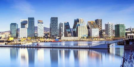 Тур Гданьск - Гдыня* - Сопот* - Осло - Ставангер - Лусе-фьорд* - Берген - Согне-фьорд* - Флом* - Стокгольм - Мальборк* - Фото 2