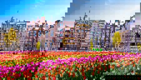 Тур Ганновер - Амстердам - Кёкенхоф* - Париж - Этрета* - Страсбург - Прага* - Фото 2