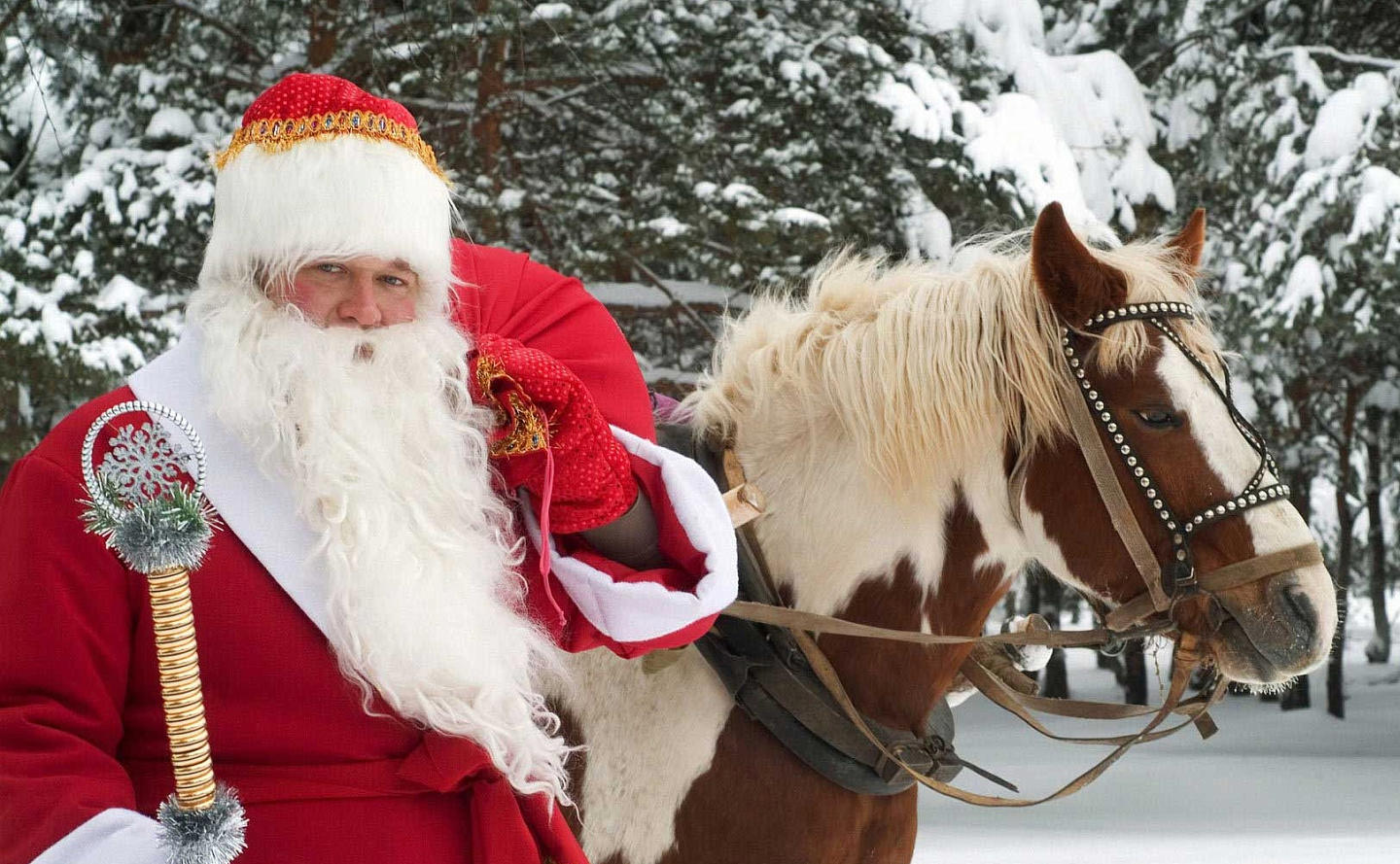 Автобусный тур Беловежская пуща - Брест, выезд из Минскa