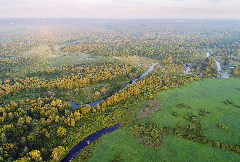 Автобусный тур Березинский заповедник, выезд из Минскa