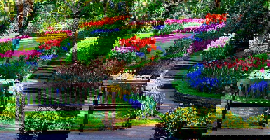 Автобусный тур Познань* - Потсдам - Кёкенхоф - Амстердам - Харлем* - Зансе-Сханс* - Бремен, выезд из Минскa