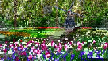 Тур Познань* - Потсдам - Кёкенхоф - Амстердам - Харлем* - Зансе-Сханс* - Бремен - Фото 4