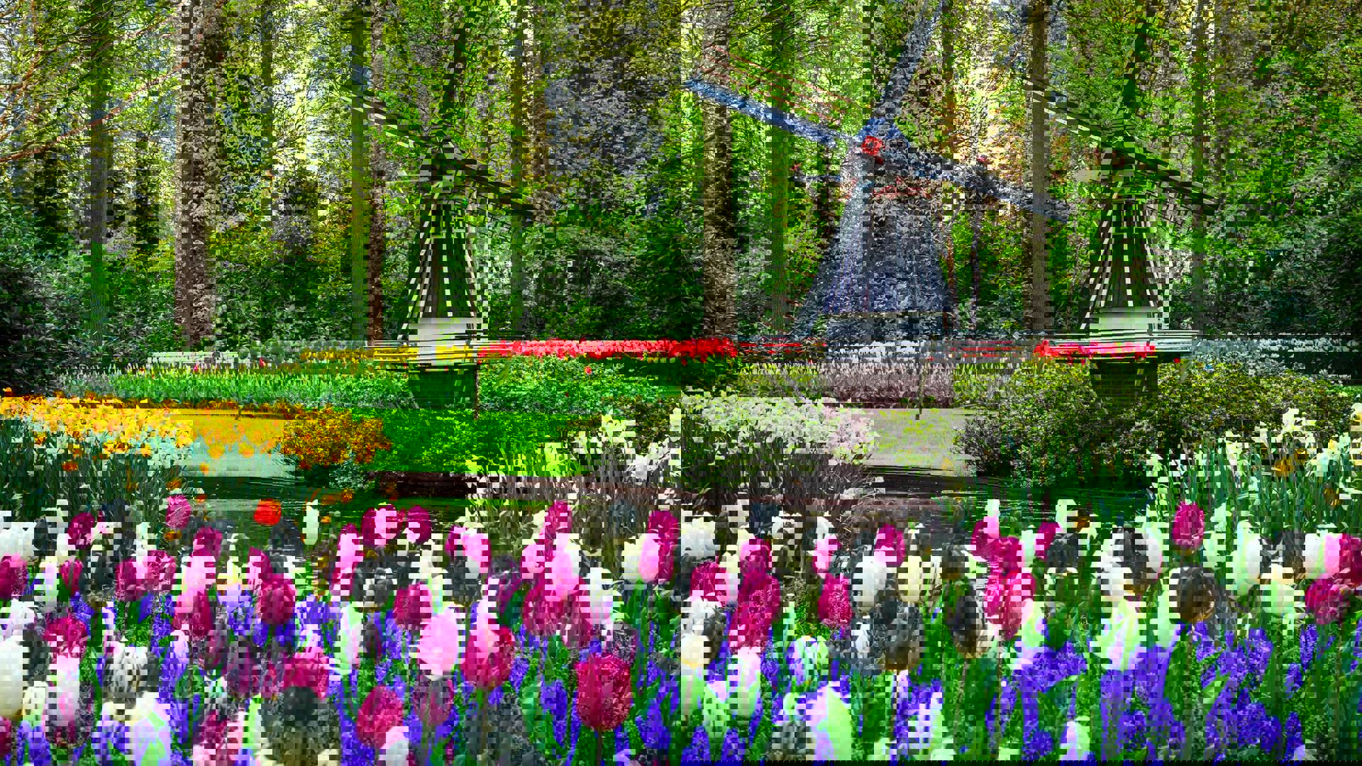 Автобусный тур Ганновер - Кёкенхоф - Гаага* - Делфт* - Амстердам - Гент* - Париж - Трир, выезд из Минскa, Брестa