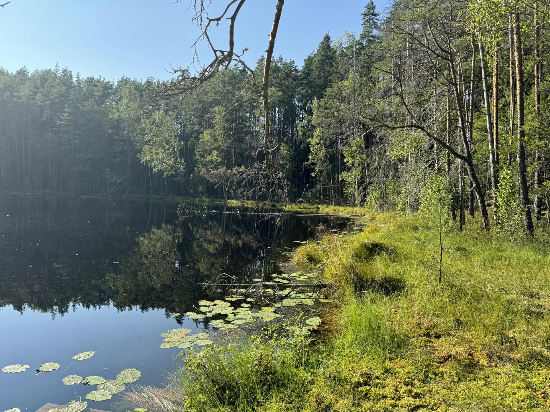 Автобусный тур Наносы - Нарочь - комплекс Голубые озера, выезд из Минскa