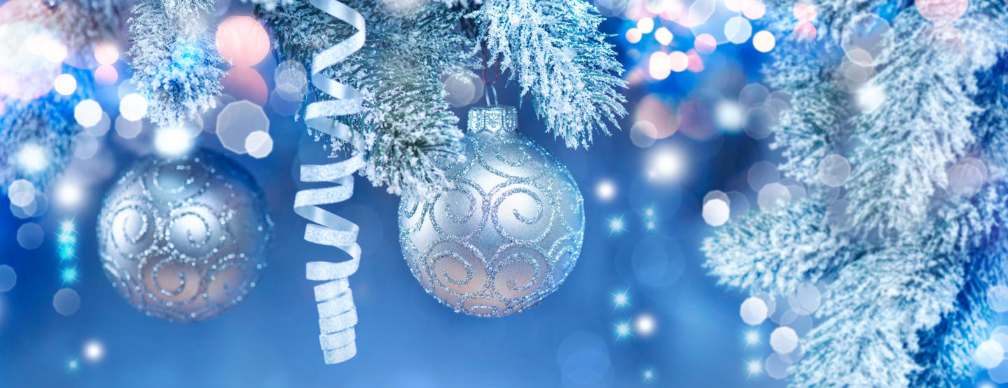 Автобусный тур Раков - Полочаны - Воложин - Налибокская пуща, выезд из Минскa