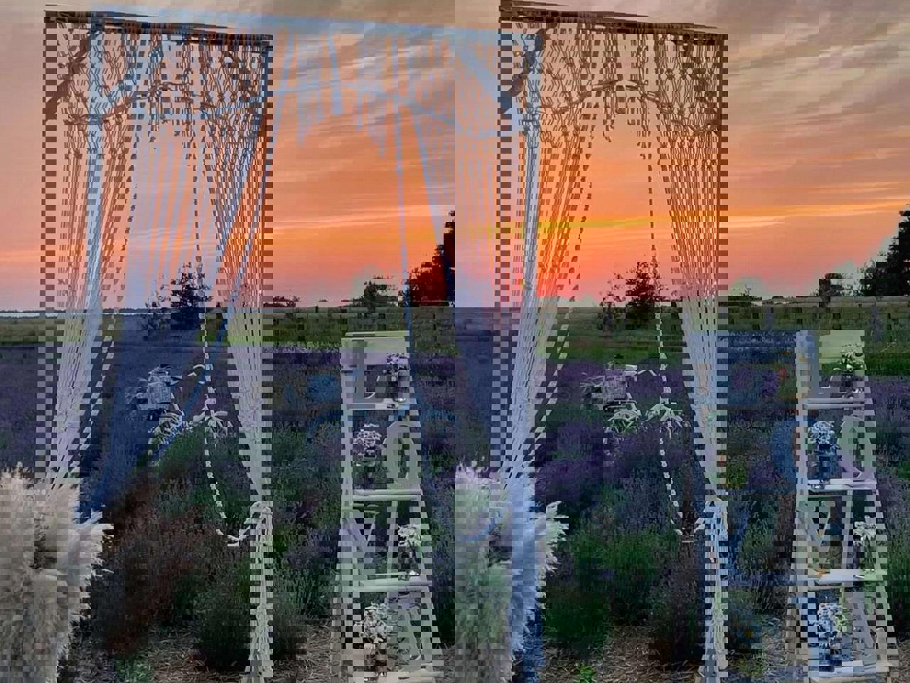 Автобусный тур Могилев, выезд из Минскa