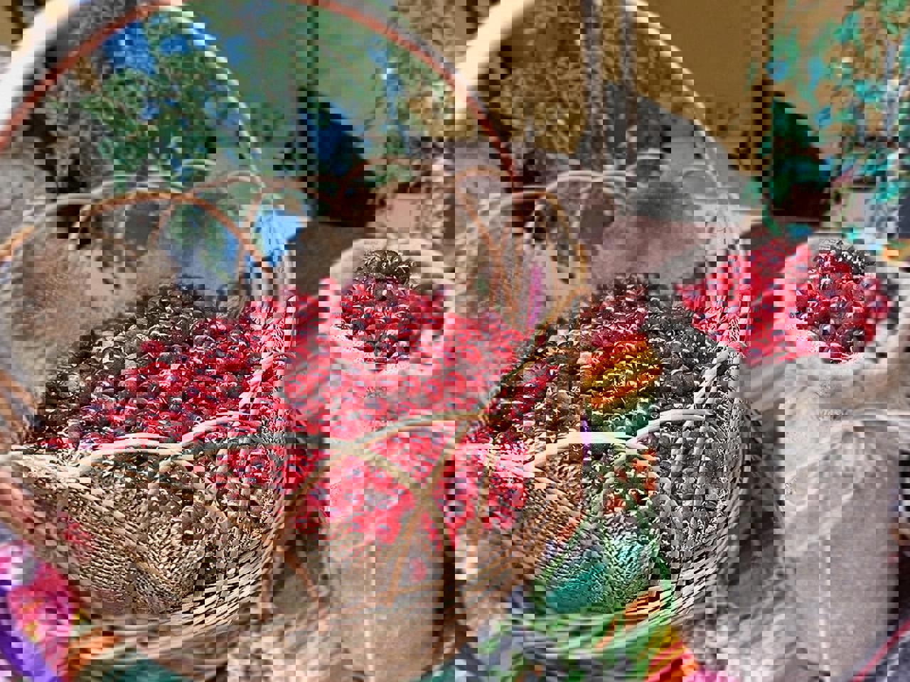 Автобусный тур Миоры - Ельня, выезд из Минскa