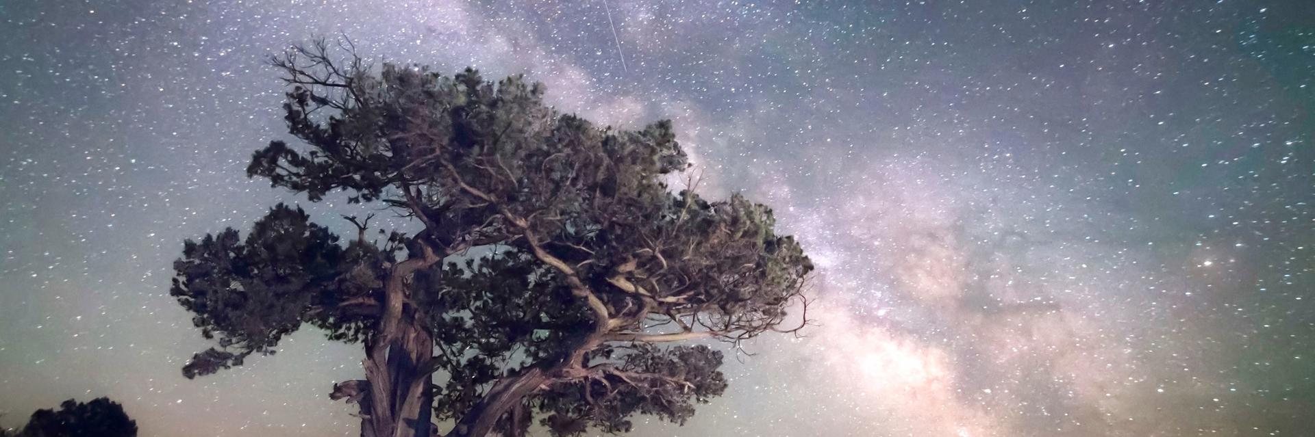 Автобусный тур Заболотье Дзержинский р-н - Мир - Щорсы - Лавришево - Новогрудок - Дятлово - Сынковичи - Великая Кракотка - Старая Переволока - Мижевичи - Жировичи, выезд из Бобруйскa, Минскa