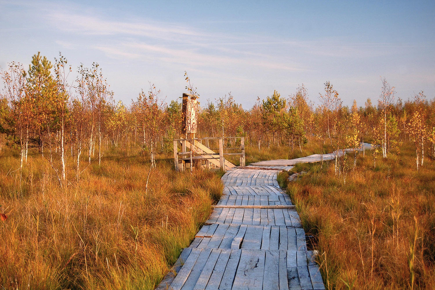 Автобусный тур Миоры - Ельня, выезд из Минскa