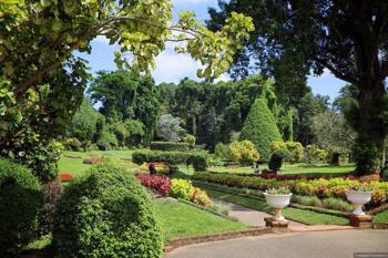 Тур Коломбо - Канди - Хиккадува - Коломбо - Фото 4