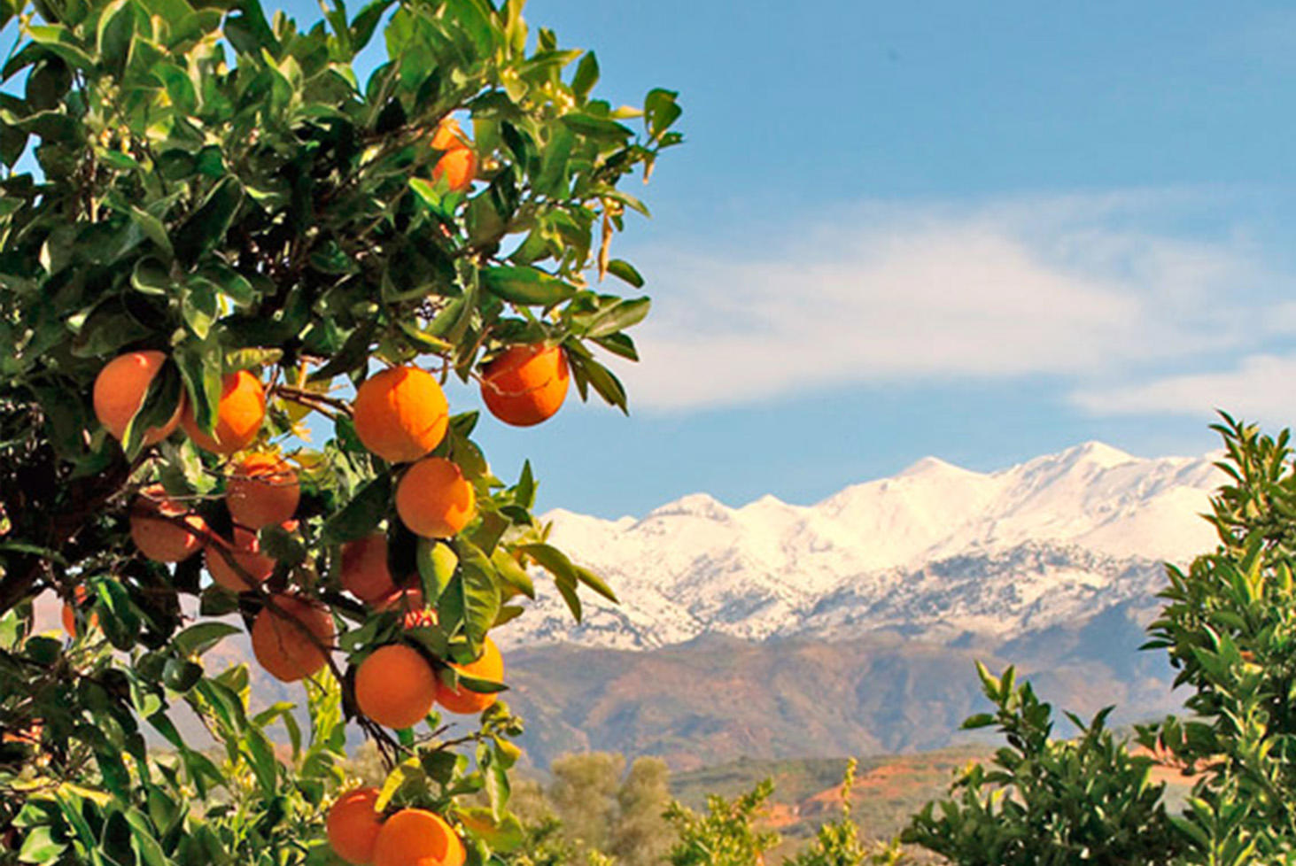 Автобусный тур Мцхета - Ананури - монастырь Джвари - Тбилиси - Батуми - Шекветили* - Сарпи*, выезд из Минскa, Гомеля