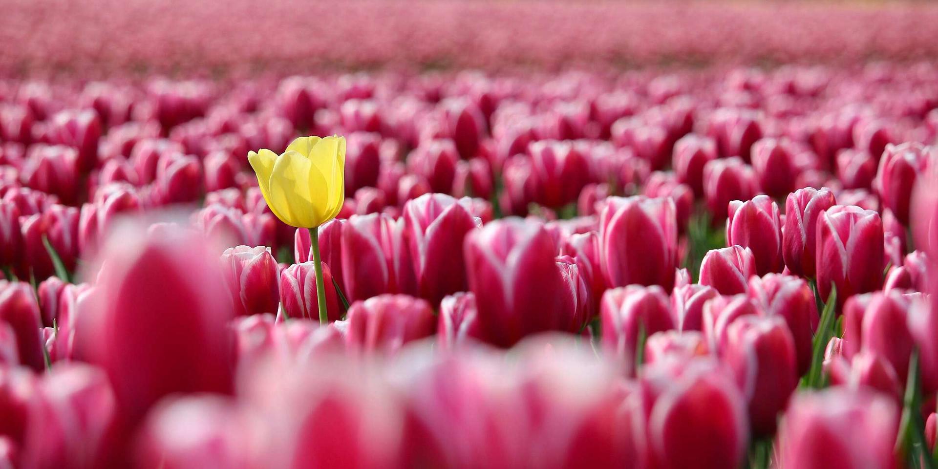 Автобусный тур Тышковичи - Коссово, выезд из Минскa, Молодечно