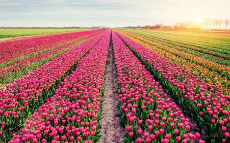 Тур Тышковичи - Коссово - Фото 2