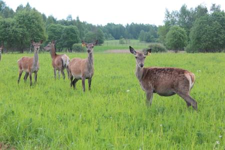 Тур Браслав - Фото 3