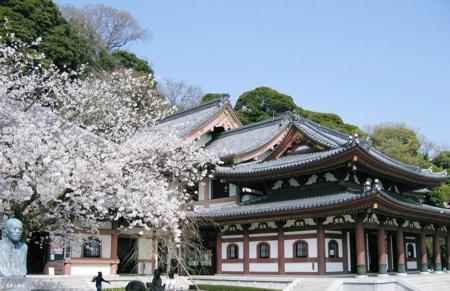 Тур Токио - Фото 5