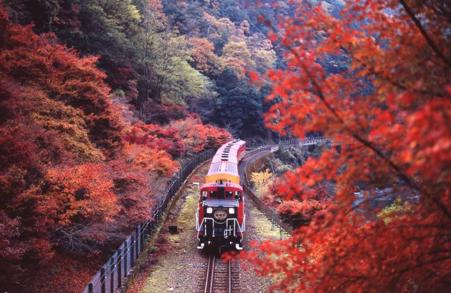 Тур Токио - Фото 11