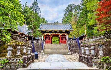 Тур Токио - Фото 7