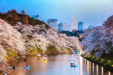 Тур Токио - Фото 2