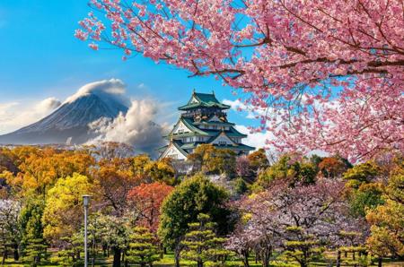 Тур Токио - Фото 15