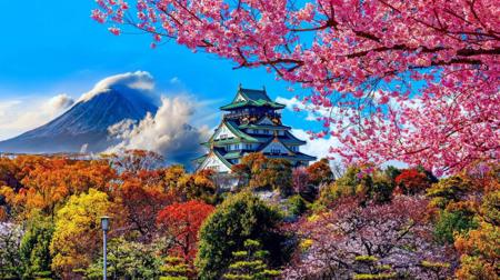 Тур Токио - Фото 9