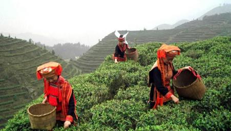 Тур Токио - Фото 13