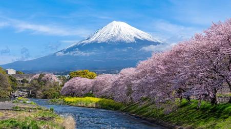 Тур Токио - Фото 6