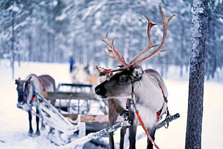 Тур Сортавала - Рускеала - Петрозаводск - Фото 6