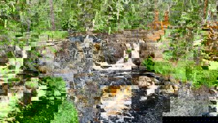 Тур Санкт-Петербург - Сортавала* - Лахденпохья* - Царское Село* - Кронштадт - Петергоф* - Фото 4