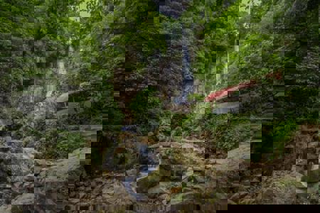 Тур Тбилиси - Кобулети - Фото 12