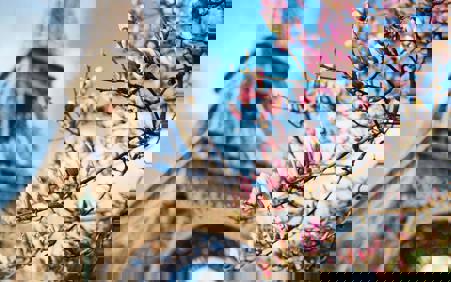 Тур Дрезден - Париж - Диснейленд (Париж)* - Прага - Фото 5