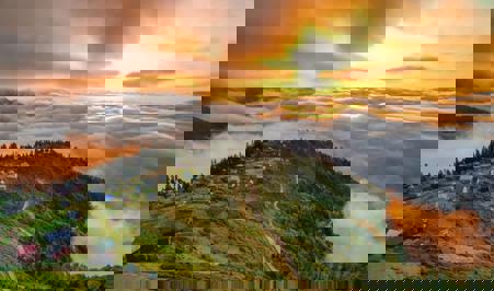 Тур Тбилиси - Кобулети - Фото 13