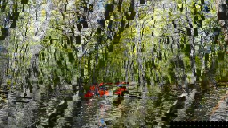 Тур Микашевичи - Фото 1