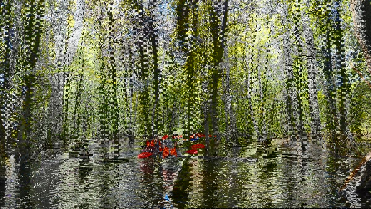 Автобусный тур Микашевичи, выезд из Брестa