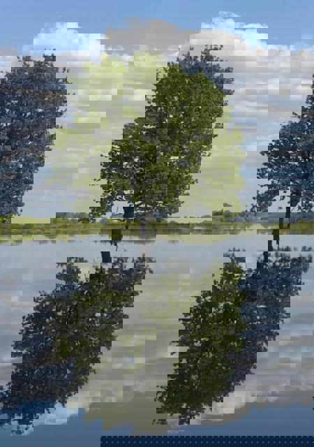 Тур Микашевичи - Фото 4