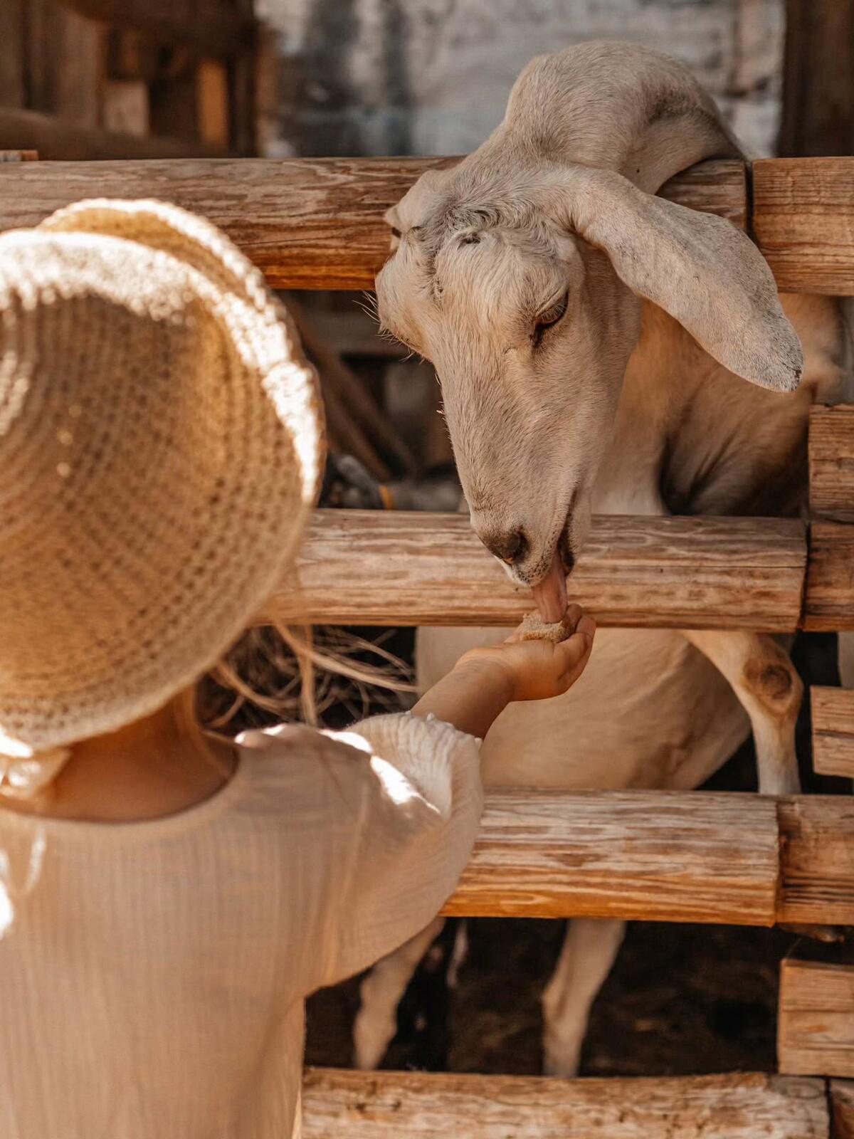 Автобусный тур Высокое, выезд из Брестa