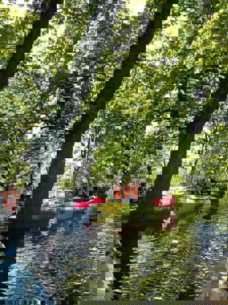 Тур Микашевичи - Фото 2