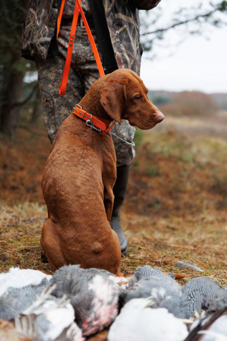 Тур Лепель - Фото 2