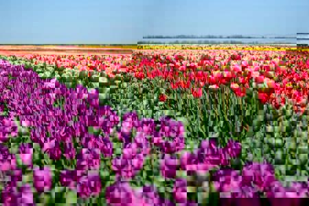 Тур Тышковичи - Коссово - Фото 2