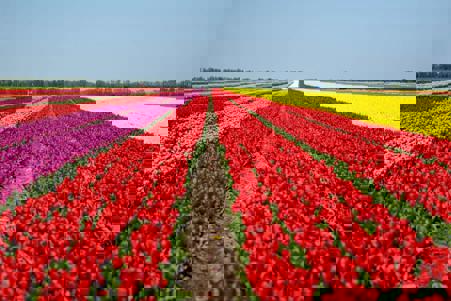 Тур Тышковичи - Коссово - Фото 1