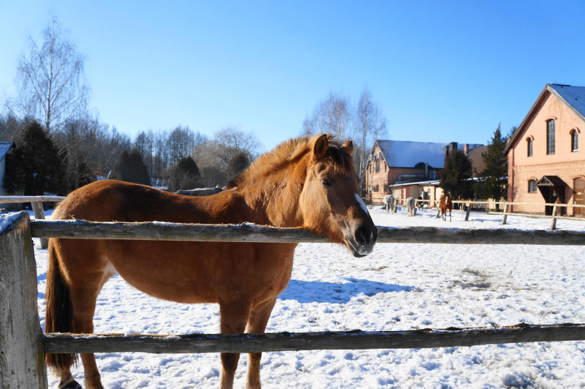 Автобусный тур Дудутки, выезд из Дудуткей